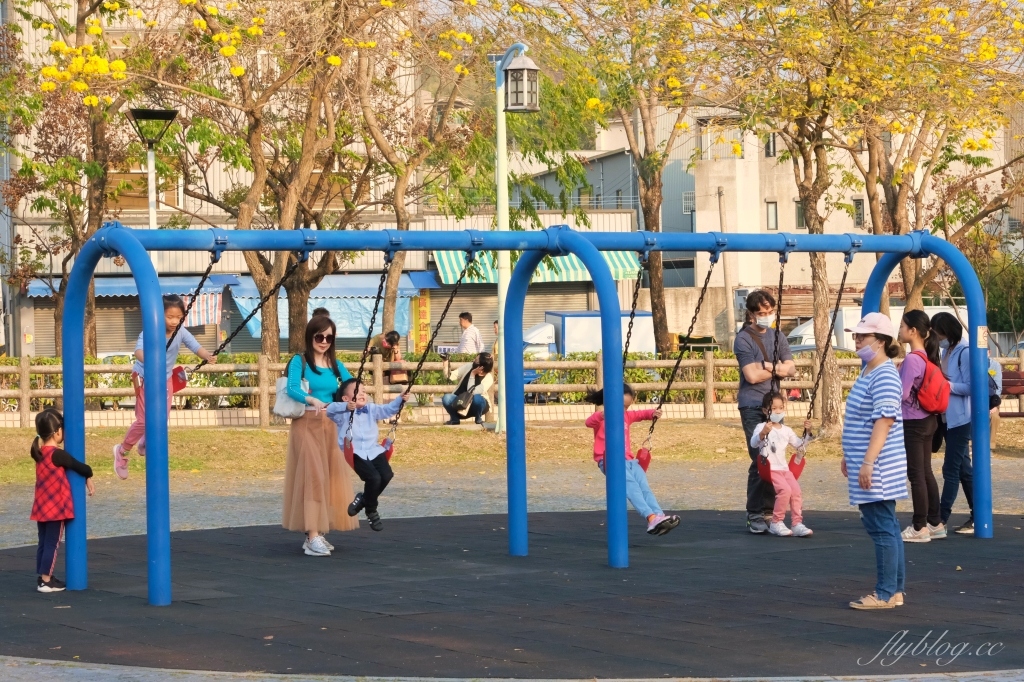 台中北屯|廍子公園,黃花風鈴木季正美,金色璀燦從粉紅情人橋到公園一整片浪漫 @飛天璇的口袋 台中北屯|廍子公園,黃花風鈴木季正美,金色璀燦從粉紅情人橋到公園一整片浪漫 @飛天璇的口袋