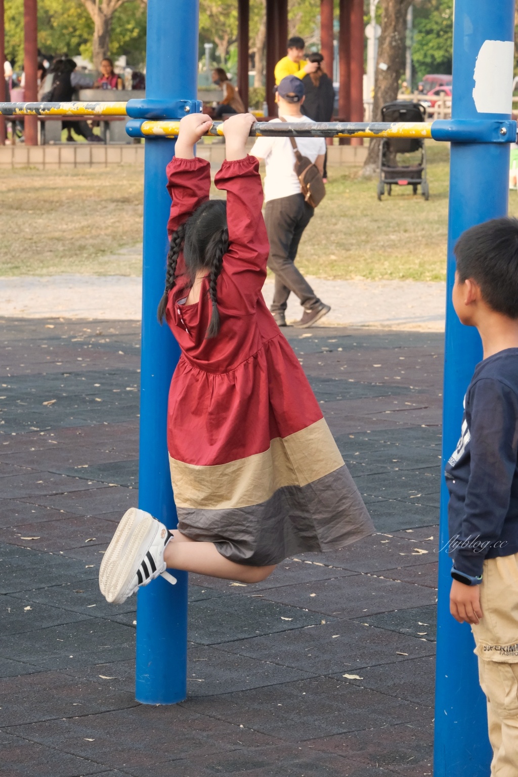 台中北屯｜廍子公園，黃花風鈴木季正美，金色璀燦從粉紅情人橋到公園一整片浪漫 @飛天璇的口袋