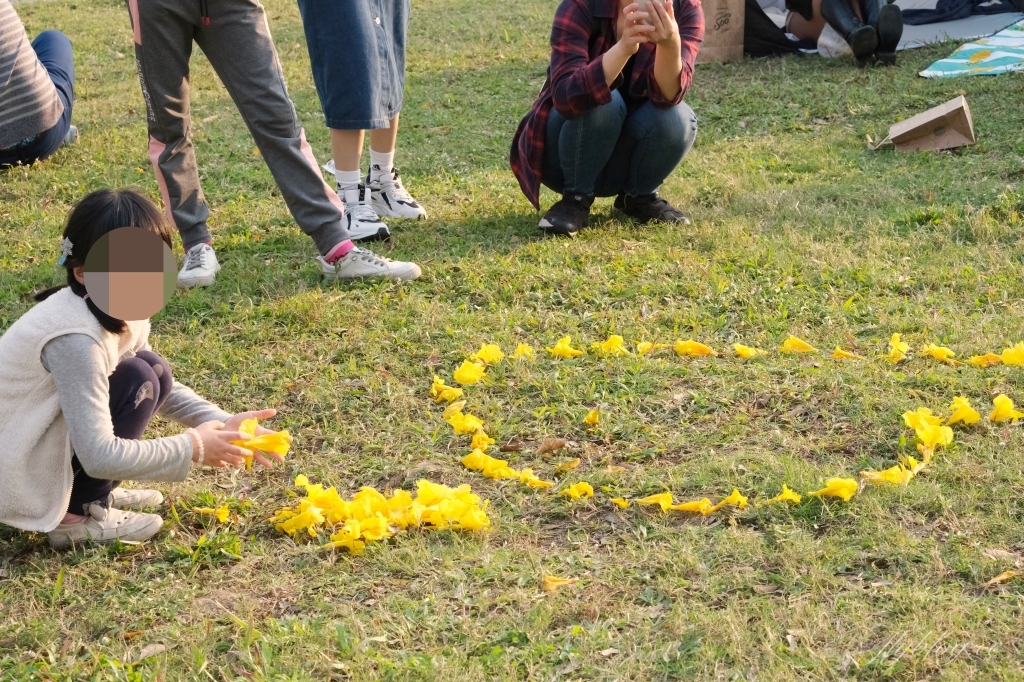 台中北屯|廍子公園,黃花風鈴木季正美,金色璀燦從粉紅情人橋到公園一整片浪漫 @飛天璇的口袋 台中北屯|廍子公園,黃花風鈴木季正美,金色璀燦從粉紅情人橋到公園一整片浪漫 @飛天璇的口袋