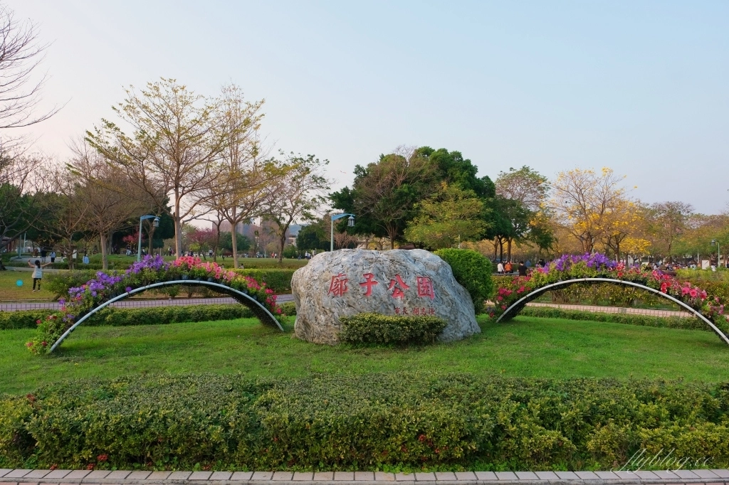 台中北屯|廍子公園,黃花風鈴木季正美,金色璀燦從粉紅情人橋到公園一整片浪漫 @飛天璇的口袋 台中北屯|廍子公園,黃花風鈴木季正美,金色璀燦從粉紅情人橋到公園一整片浪漫 @飛天璇的口袋