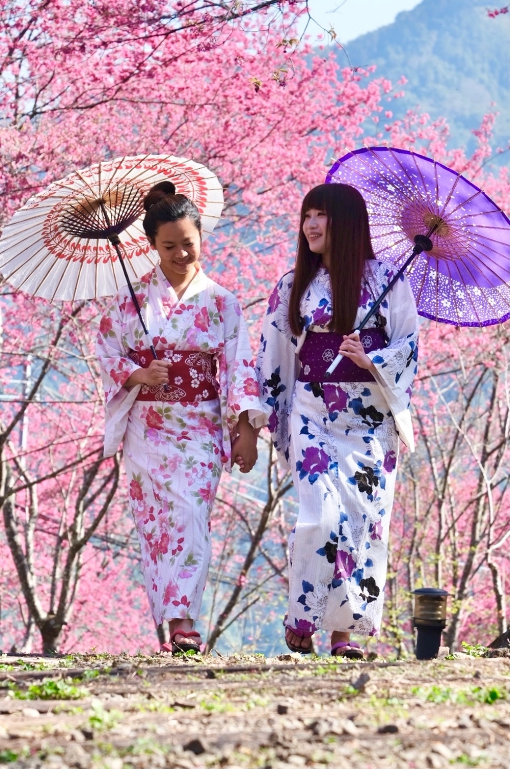 新竹五峰|悅峰山莊,坐擁整片盛開山櫻花美景,新竹五峰豪華包棟民宿 @飛天璇的口袋 新竹五峰|悅峰山莊,坐擁整片盛開山櫻花美景,新竹五峰豪華包棟民宿 @飛天璇的口袋