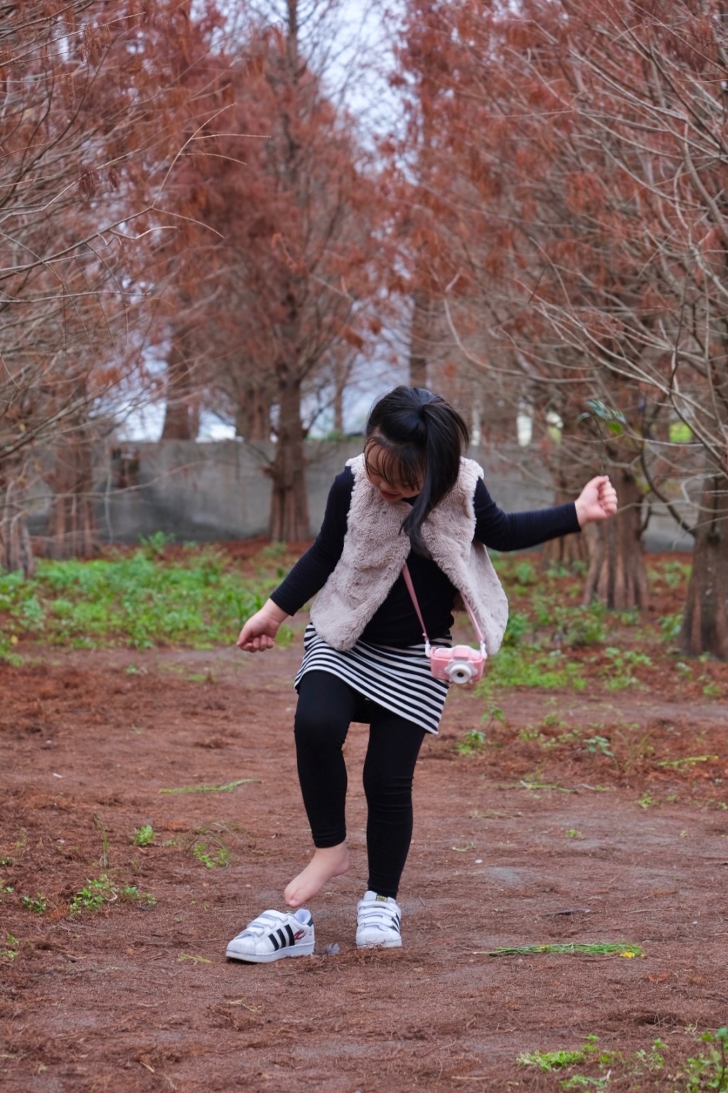 台中外埔｜土城落羽松秘境｜火炎山下200棵落羽松樹林，后里麗寶樂園附近的秘境 @飛天璇的口袋