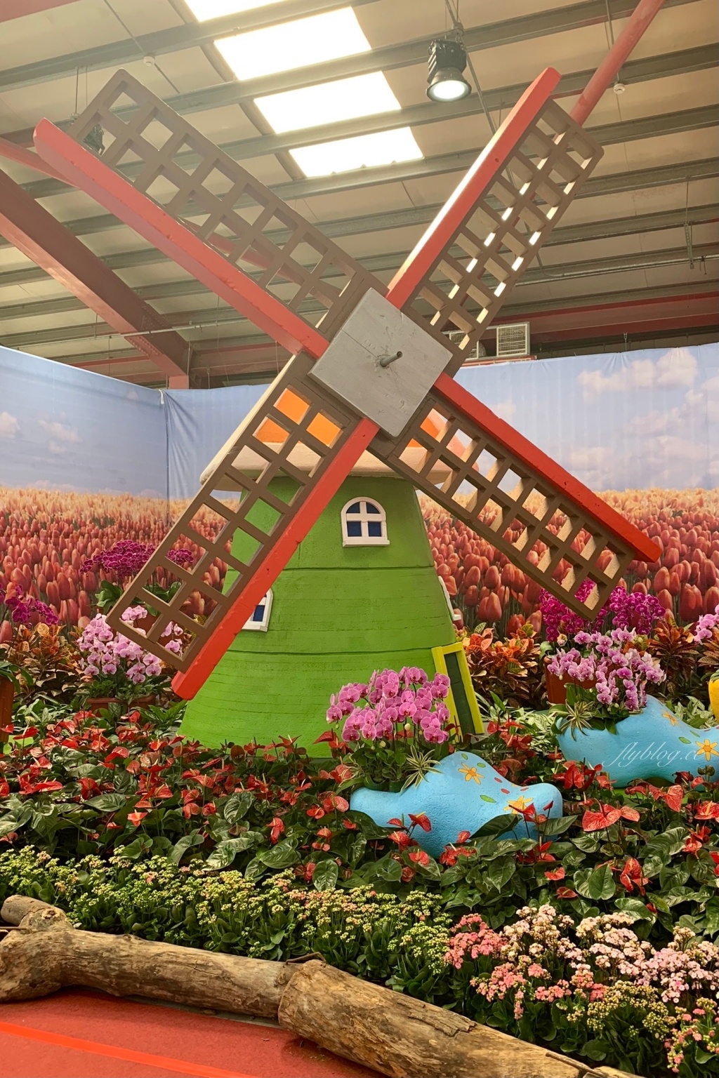 【彰化溪州】溪州公園：2021花在彰化花博會~環遊”世界花海”的偽出國新玩法 @飛天璇的口袋