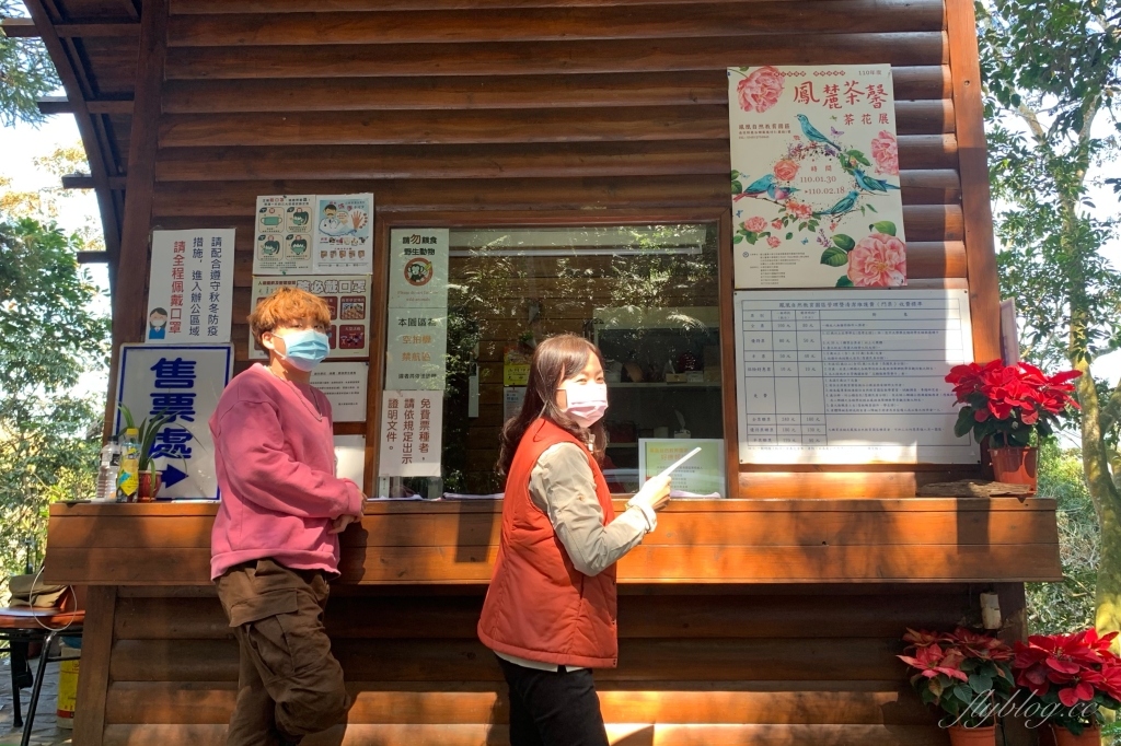 南投鹿谷｜台大茶園 鹿谷鳳凰自然教育園區．南投台大茶園櫻花季，散步浪漫河津櫻木棧步道 @飛天璇的口袋