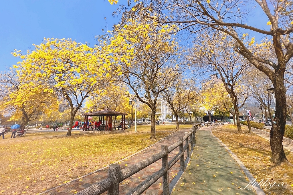 台中北屯｜廍子公園，黃花風鈴木季正美，金色璀燦從粉紅情人橋到公園一整片浪漫 @飛天璇的口袋