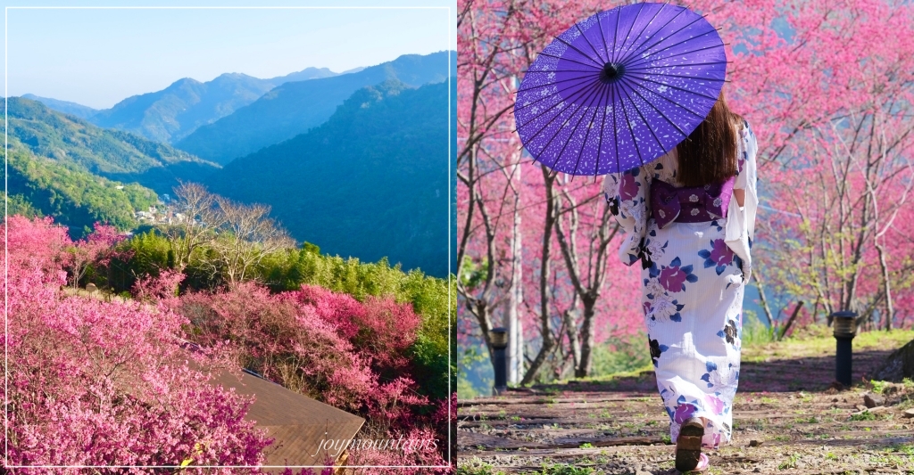 新竹五峰|悅峰山莊,坐擁整片盛開山櫻花美景,新竹五峰豪華包棟民宿 @飛天璇的口袋 新竹五峰|悅峰山莊,坐擁整片盛開山櫻花美景,新竹五峰豪華包棟民宿 @飛天璇的口袋