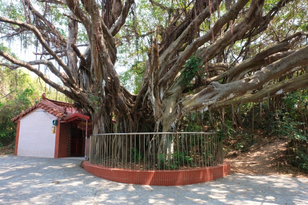 小琉球兩天一夜行程｜小琉球2天1夜怎麼玩？觀光客必遊小琉球景點，小琉球網美IG打卡秘境 @飛天璇的口袋