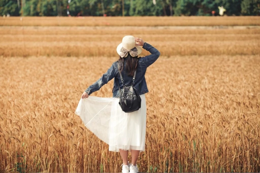 台中大雅｜大雅麥田 小麥文化節登場，隨風搖曳金黃色麥田，如詩如畫的悠逸景緻 @飛天璇的口袋