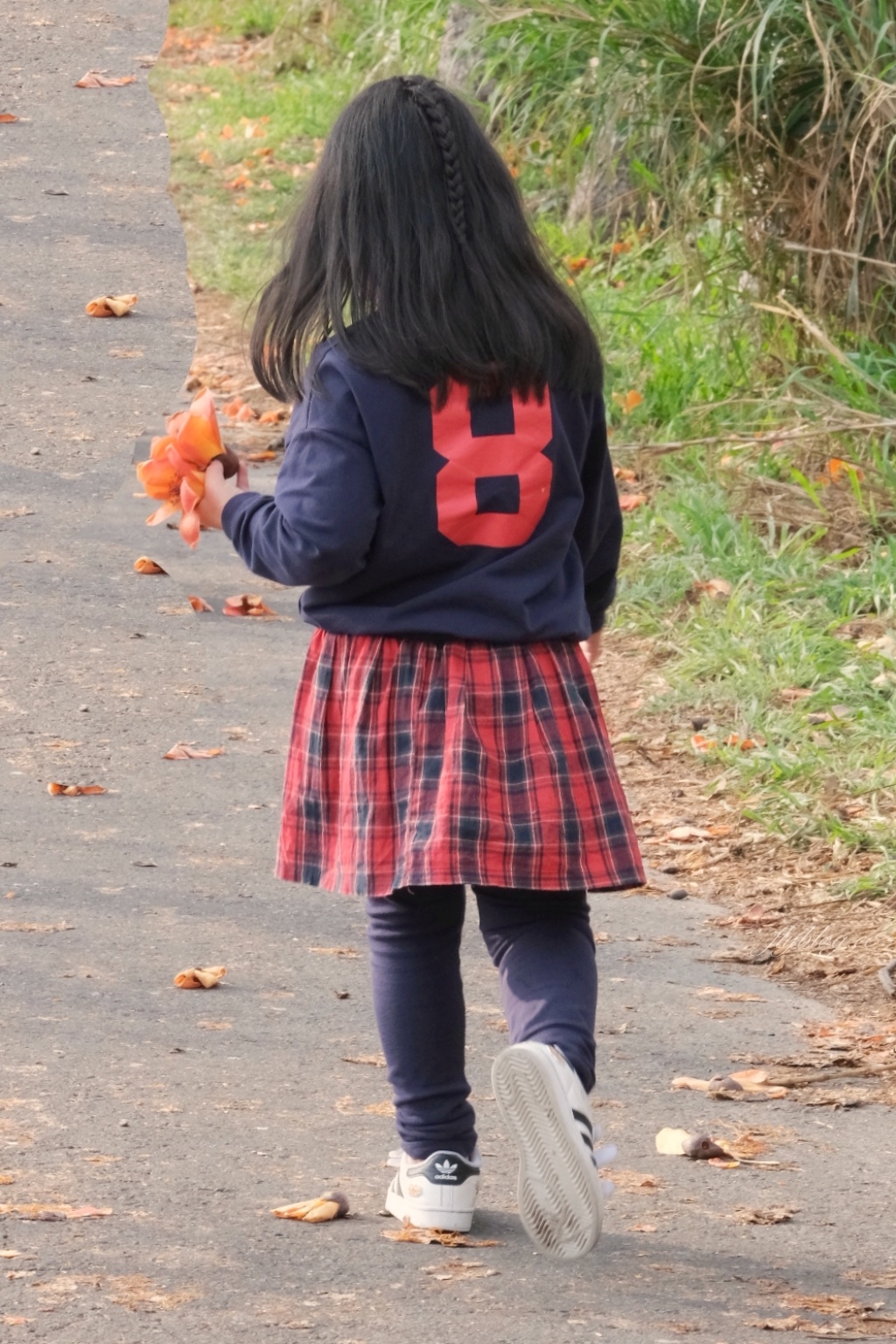 彰化埤頭｜東螺溪木棉花道，台灣最長木棉花道，600多株綿延1.5公里超壯觀 @飛天璇的口袋