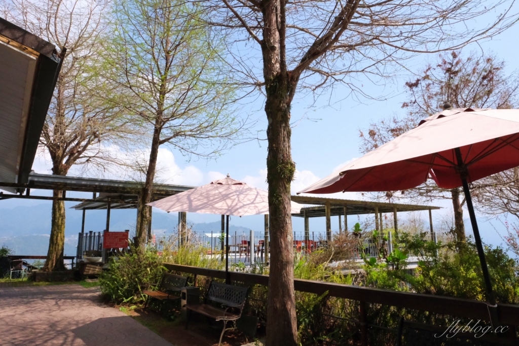 南投仁愛｜清境一日遊．台灣阿爾卑斯山，在青青草原看綿羊秀，挑戰台灣最高天空步道 @飛天璇的口袋