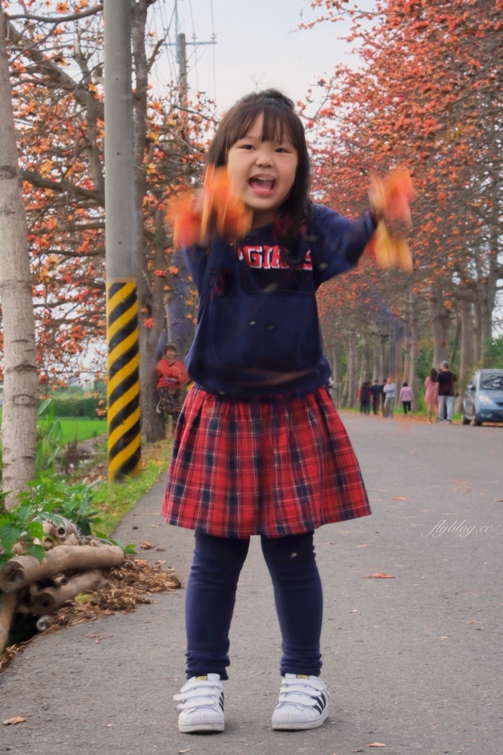 彰化埤頭｜東螺溪木棉花道，台灣最長木棉花道，600多株綿延1.5公里超壯觀 @飛天璇的口袋