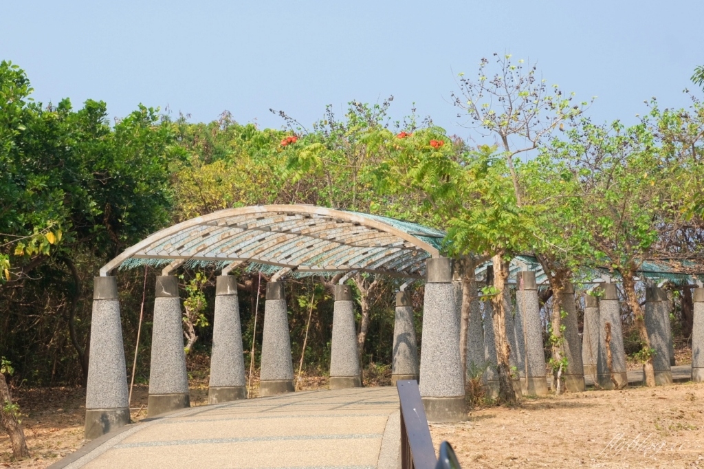 小琉球兩天一夜行程｜小琉球2天1夜怎麼玩？觀光客必遊小琉球景點，小琉球網美IG打卡秘境 @飛天璇的口袋