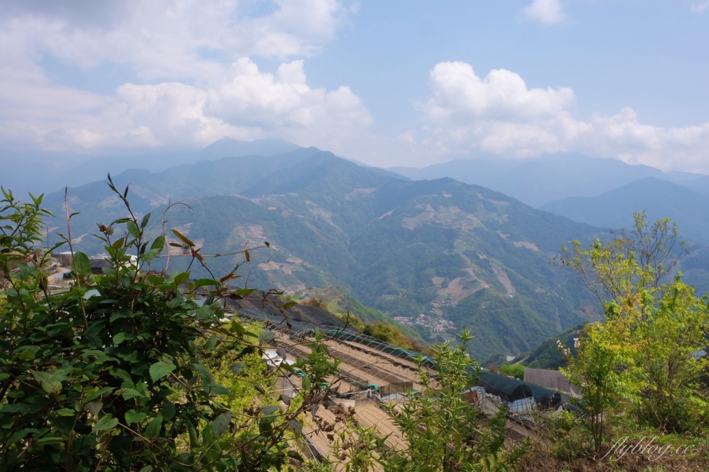 魯媽媽雲南擺夷料理｜清境最超人氣的「魯媽媽」雲南料理，座擁海拔2000公尺的美景 @飛天璇的口袋