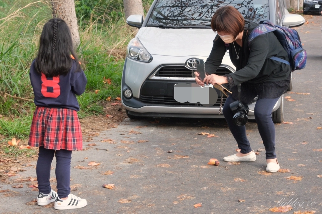 彰化埤頭｜東螺溪木棉花道，台灣最長木棉花道，600多株綿延1.5公里超壯觀 @飛天璇的口袋