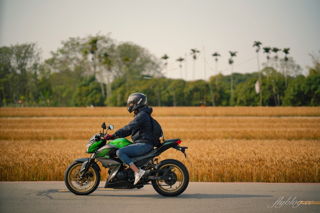 台中大雅｜大雅麥田 小麥文化節登場，隨風搖曳金黃色麥田，如詩如畫的悠逸景緻 @飛天璇的口袋