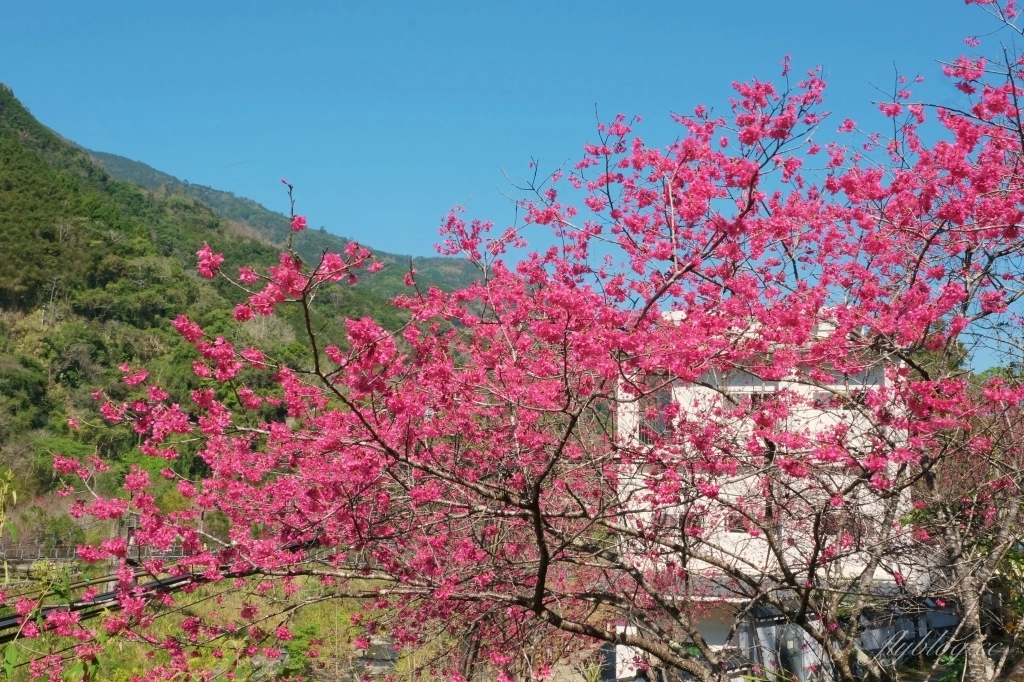 新竹清泉|新竹一日遊,清泉部落,張學良故居.將軍湯.三毛夢屋.清泉吊橋.清泉藝術之森.清泉步道.清泉天主教堂.老王客棧 @飛天璇的口袋 新竹清泉|新竹一日遊,清泉部落,張學良故居.將軍湯.三毛夢屋.清泉吊橋.清泉藝術之森.清泉步道.清泉天主教堂.老王客棧 @飛天璇的口袋