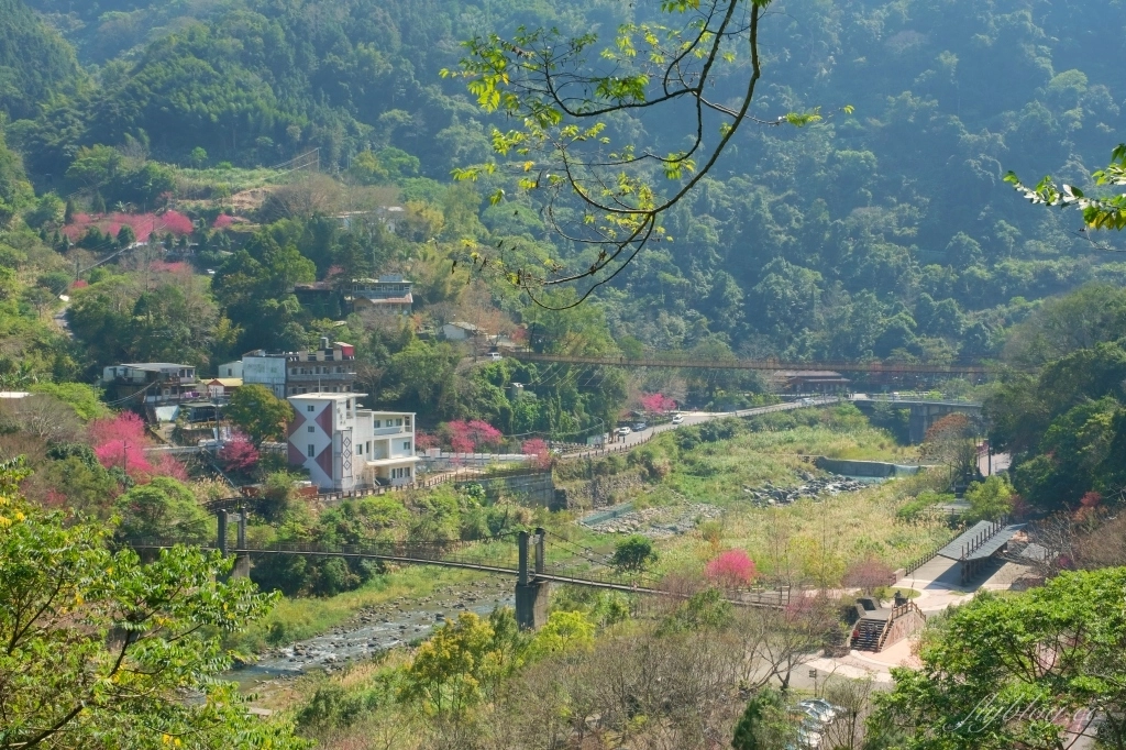新竹清泉|新竹一日遊,清泉部落,張學良故居.將軍湯.三毛夢屋.清泉吊橋.清泉藝術之森.清泉步道.清泉天主教堂.老王客棧 @飛天璇的口袋 新竹清泉|新竹一日遊,清泉部落,張學良故居.將軍湯.三毛夢屋.清泉吊橋.清泉藝術之森.清泉步道.清泉天主教堂.老王客棧 @飛天璇的口袋