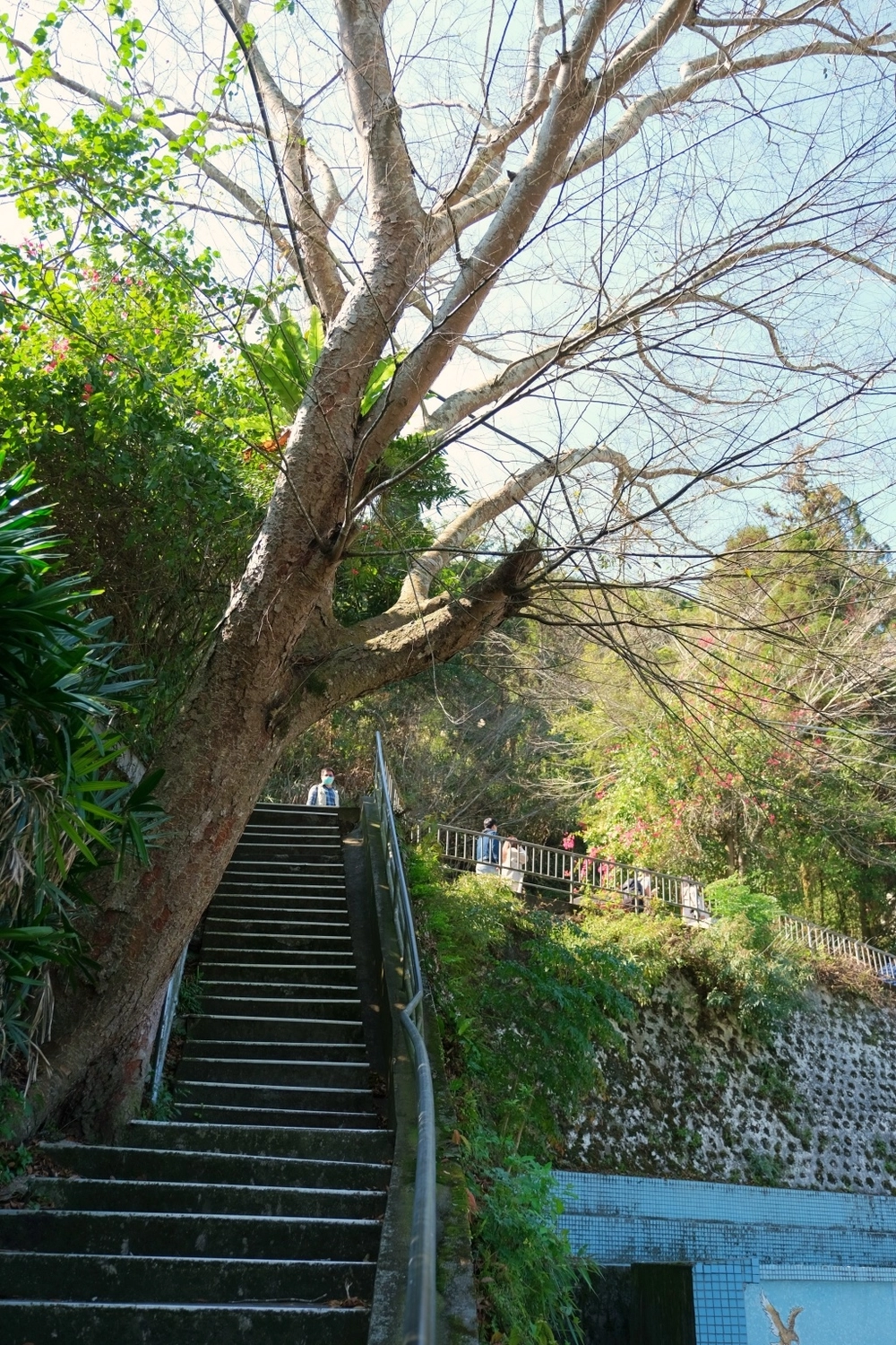 新竹清泉|新竹一日遊,清泉部落,張學良故居.將軍湯.三毛夢屋.清泉吊橋.清泉藝術之森.清泉步道.清泉天主教堂.老王客棧 @飛天璇的口袋 新竹清泉|新竹一日遊,清泉部落,張學良故居.將軍湯.三毛夢屋.清泉吊橋.清泉藝術之森.清泉步道.清泉天主教堂.老王客棧 @飛天璇的口袋