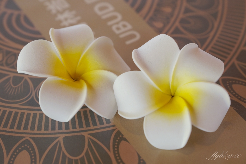 南投魚池｜烏布雨林峇里島主題餐廳，享受偽出國置身峇里島烏布，九族日月潭必吃美食 @飛天璇的口袋