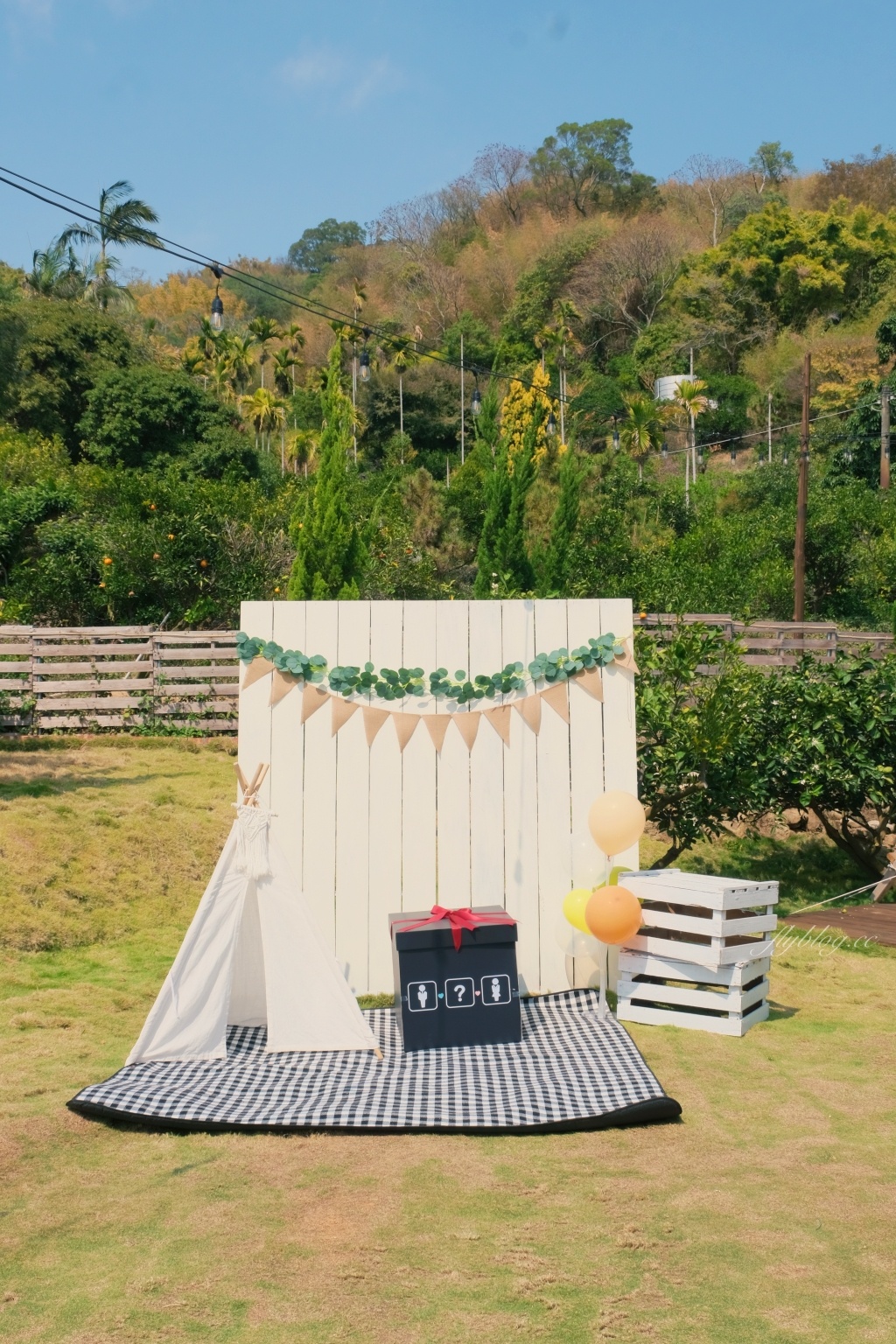 【台中東勢】日日木木，在橘子樹林裡露營野餐，還有可愛帳蓬和大片草地 @飛天璇的口袋
