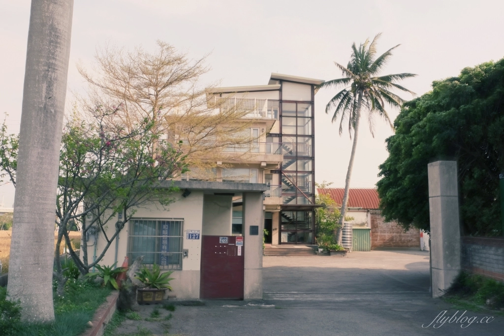 台中大雅｜大雅麥田 小麥文化節登場，隨風搖曳金黃色麥田，如詩如畫的悠逸景緻 @飛天璇的口袋