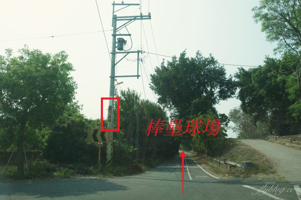 彰化景點｜大肚溪棒壘球場，彰化最美苦楝花秘境，漫步悠閒浪漫的紫色隧道 @飛天璇的口袋