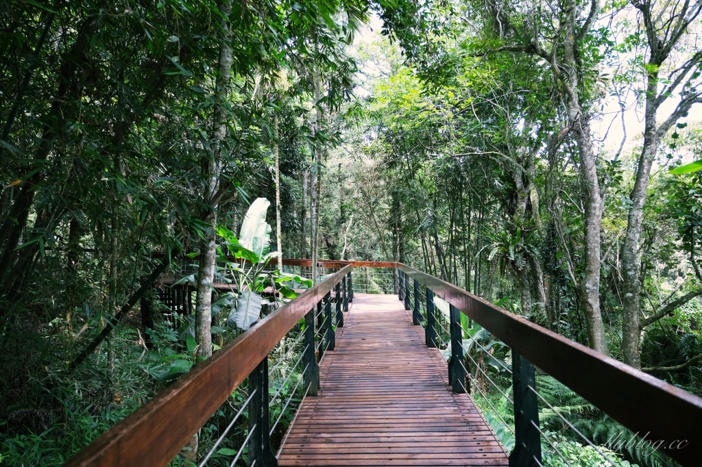 南投魚池｜慈恩塔步道，短短570公尺步道，綠意盎然林蔭遮敝，360度無死角眺望日月潭 @飛天璇的口袋