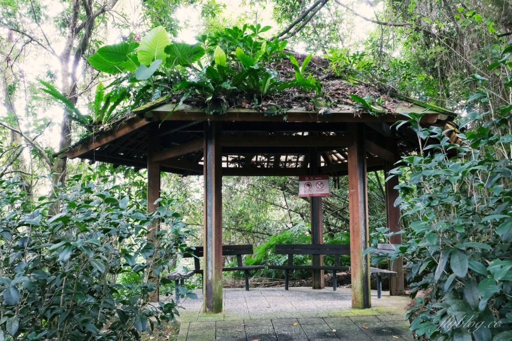 南投魚池|慈恩塔步道,短短570公尺步道,綠意盎然林蔭遮敝,360度無死角眺望日月潭 @飛天璇的口袋 南投魚池|慈恩塔步道,短短570公尺步道,綠意盎然林蔭遮敝,360度無死角眺望日月潭 @飛天璇的口袋