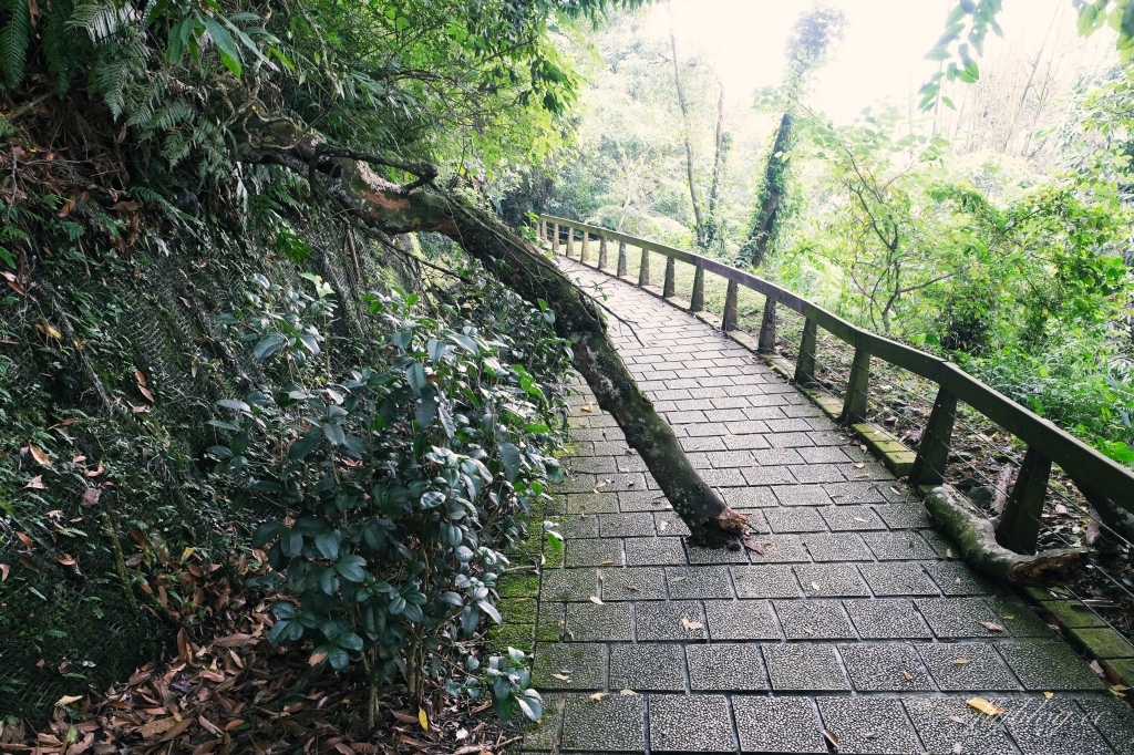 南投魚池|慈恩塔步道,短短570公尺步道,綠意盎然林蔭遮敝,360度無死角眺望日月潭 @飛天璇的口袋 南投魚池|慈恩塔步道,短短570公尺步道,綠意盎然林蔭遮敝,360度無死角眺望日月潭 @飛天璇的口袋