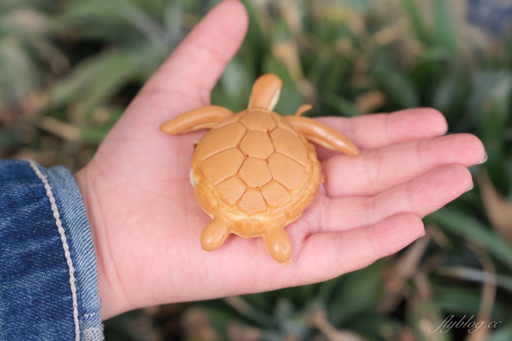 小琉球兩天一夜行程｜小琉球2天1夜怎麼玩？觀光客必遊小琉球景點，小琉球網美IG打卡秘境 @飛天璇的口袋