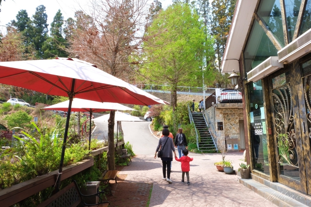 魯媽媽雲南擺夷料理｜清境最超人氣的「魯媽媽」雲南料理，座擁海拔2000公尺的美景 @飛天璇的口袋