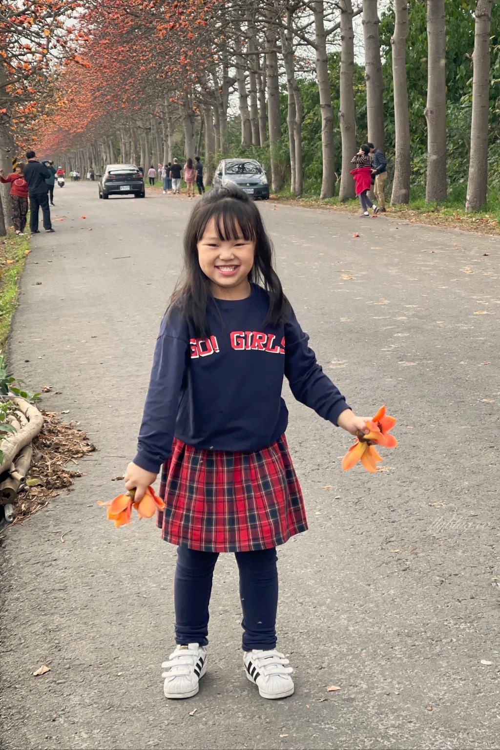 彰化埤頭｜東螺溪木棉花道，台灣最長木棉花道，600多株綿延1.5公里超壯觀 @飛天璇的口袋