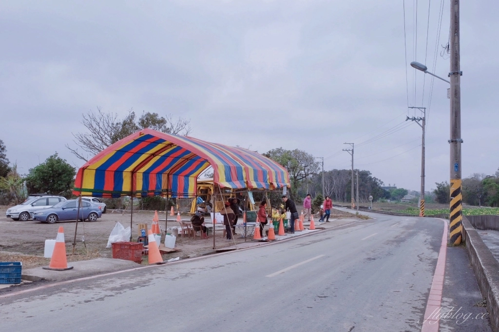 台中外埔｜黃色海芋田．外埔海芋季開跑了，黃澄澄一片超療癒 @飛天璇的口袋
