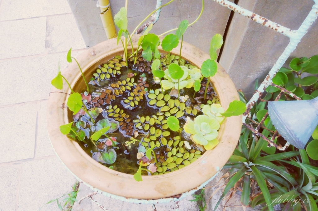 【馬祖南竿】南萌咖啡館:30年老宅搖身一變成為文青咖啡館,20公尺就可以抵達海邊 @飛天璇的口袋 【馬祖南竿】南萌咖啡館:30年老宅搖身一變成為文青咖啡館,20公尺就可以抵達海邊 @飛天璇的口袋