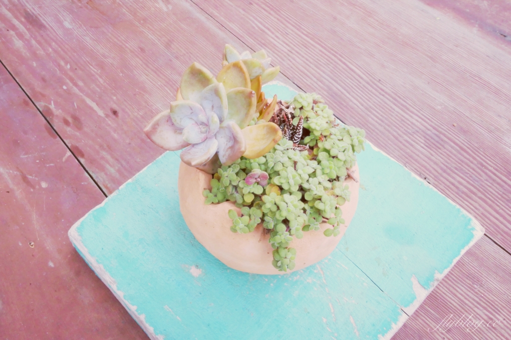 【馬祖南竿】南萌咖啡館:30年老宅搖身一變成為文青咖啡館,20公尺就可以抵達海邊 @飛天璇的口袋 【馬祖南竿】南萌咖啡館:30年老宅搖身一變成為文青咖啡館,20公尺就可以抵達海邊 @飛天璇的口袋