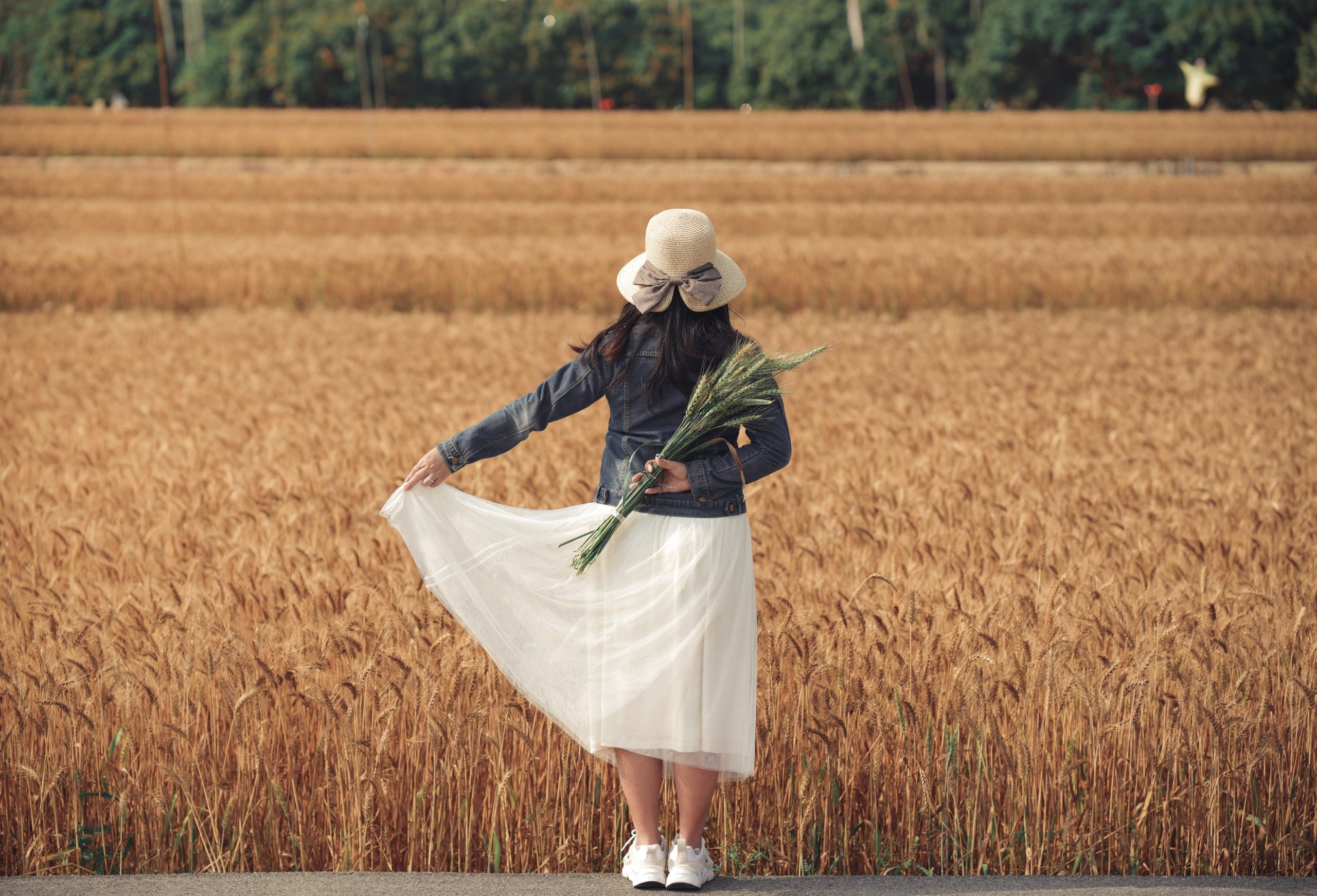 台中大雅｜大雅麥田 小麥文化節登場，隨風搖曳金黃色麥田，如詩如畫的悠逸景緻 @飛天璇的口袋