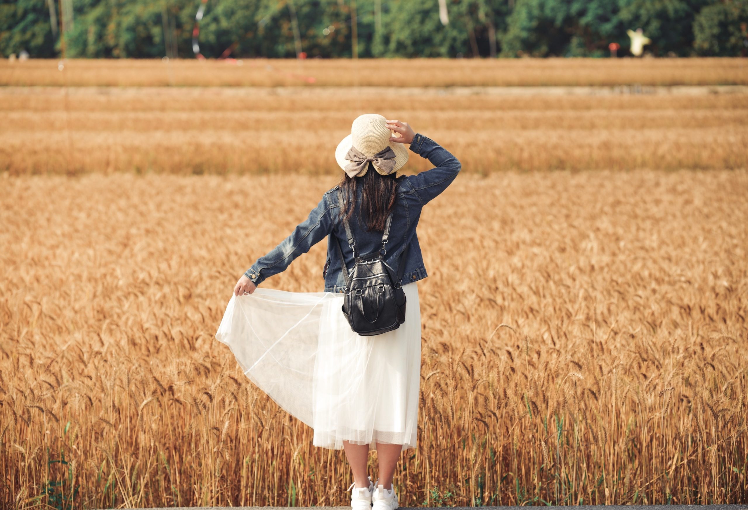 台中大雅｜大雅麥田 小麥文化節登場，隨風搖曳金黃色麥田，如詩如畫的悠逸景緻 @飛天璇的口袋