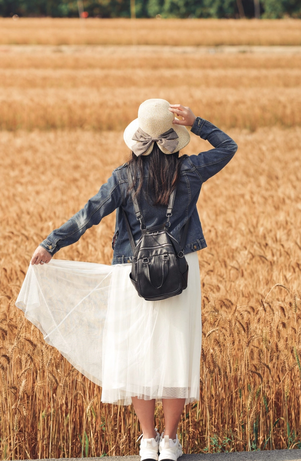 台中大雅｜大雅麥田 小麥文化節登場，隨風搖曳金黃色麥田，如詩如畫的悠逸景緻 @飛天璇的口袋