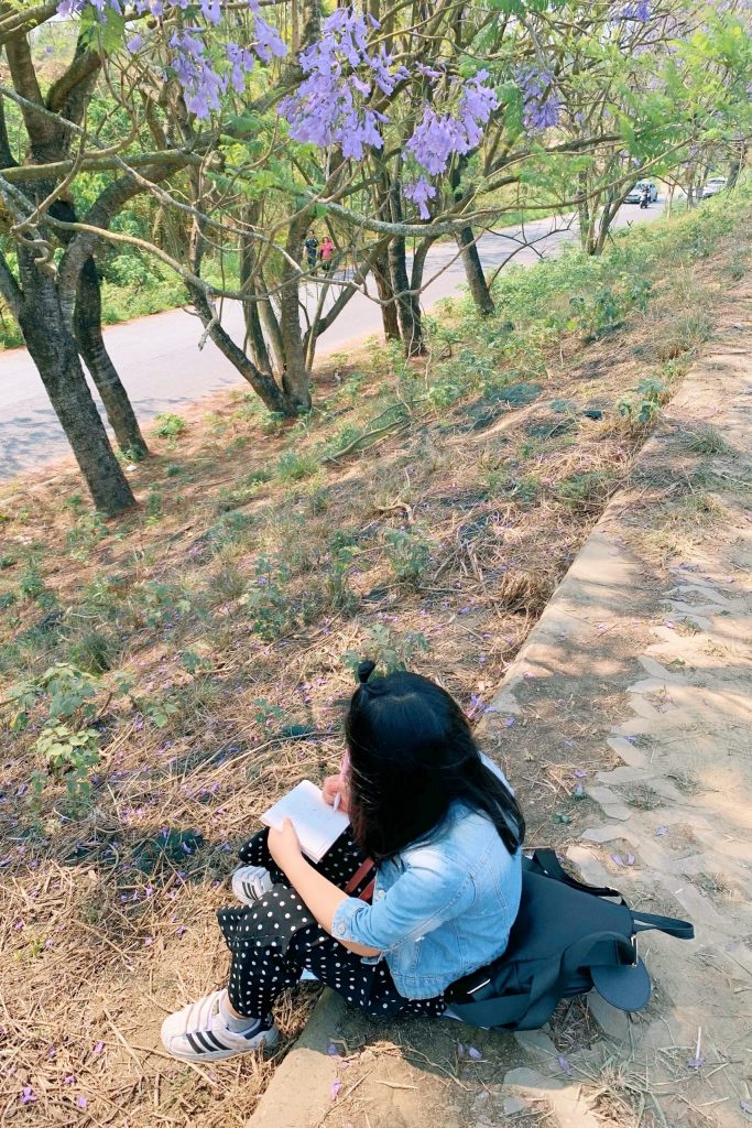 【嘉義東區】 嘉義藍花楹隧道：盧厝堤防藍花楹漸開中，紫色浪漫綿延800公尺 @飛天璇的口袋