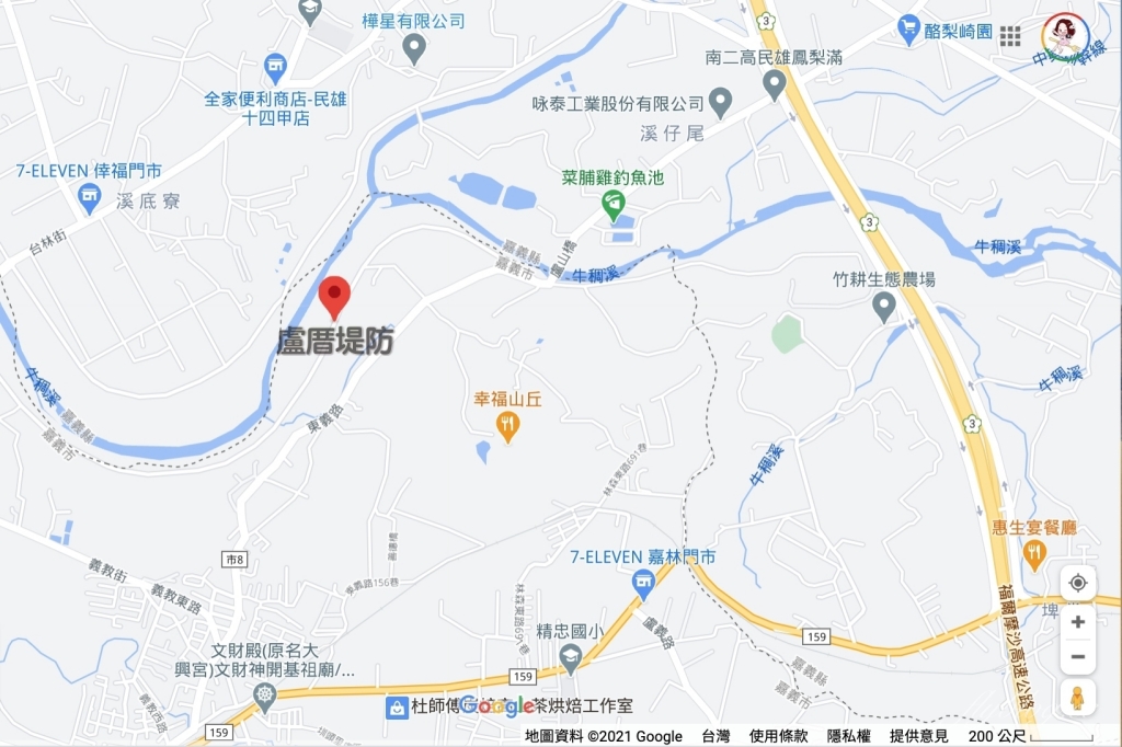 【嘉義東區】 嘉義藍花楹隧道：盧厝堤防藍花楹漸開中，紫色浪漫綿延800公尺 @飛天璇的口袋