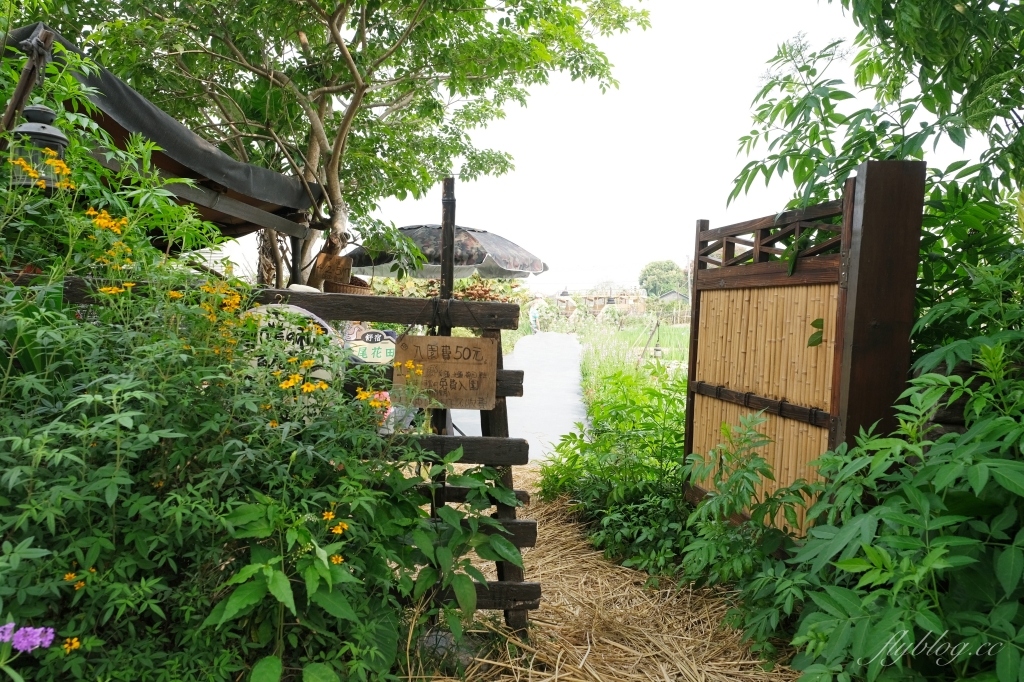 彰化田尾|田尾旅人小屋舒宿,彰化田尾鳶尾花季,浪漫唯美的鳶尾花秘境 @飛天璇的口袋