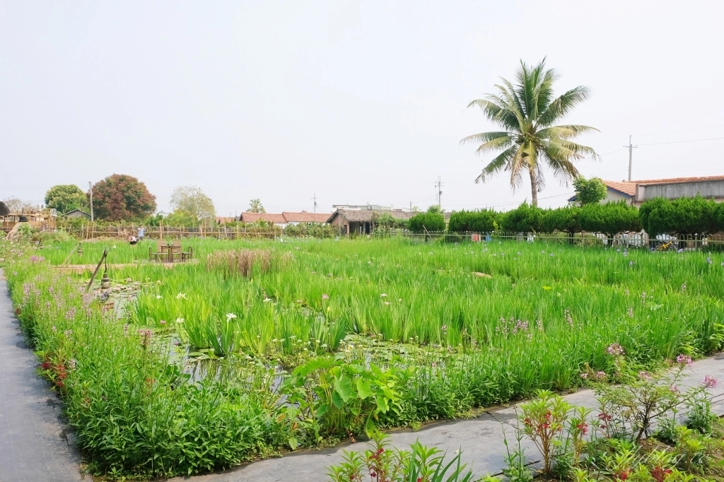 彰化田尾|田尾旅人小屋舒宿,彰化田尾鳶尾花季,浪漫唯美的鳶尾花秘境 @飛天璇的口袋 彰化田尾|田尾旅人小屋舒宿,彰化田尾鳶尾花季,浪漫唯美的鳶尾花秘境 @飛天璇的口袋