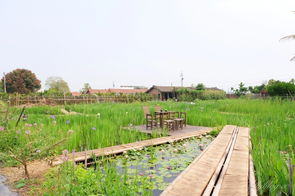 彰化田尾|田尾旅人小屋舒宿,彰化田尾鳶尾花季,浪漫唯美的鳶尾花秘境 @飛天璇的口袋 彰化田尾|田尾旅人小屋舒宿,彰化田尾鳶尾花季,浪漫唯美的鳶尾花秘境 @飛天璇的口袋