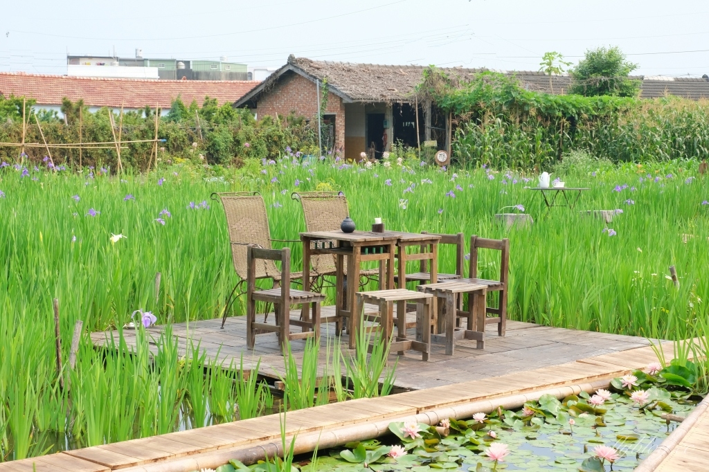 彰化田尾|田尾旅人小屋舒宿,彰化田尾鳶尾花季,浪漫唯美的鳶尾花秘境 @飛天璇的口袋 彰化田尾|田尾旅人小屋舒宿,彰化田尾鳶尾花季,浪漫唯美的鳶尾花秘境 @飛天璇的口袋