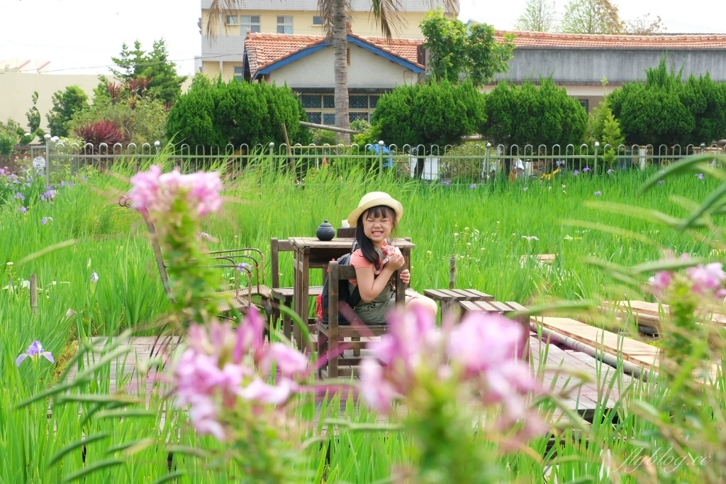 彰化田尾｜田尾旅人小屋舒宿，彰化田尾鳶尾花季，浪漫唯美的鳶尾花秘境 @飛天璇的口袋