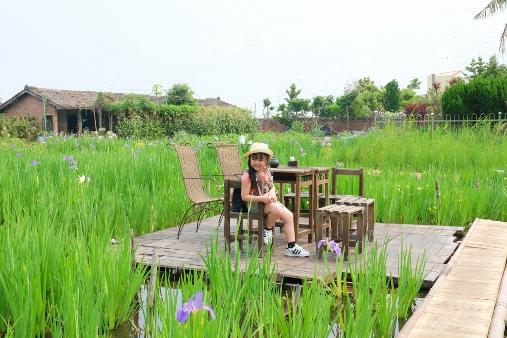 彰化田尾｜田尾旅人小屋舒宿，彰化田尾鳶尾花季，浪漫唯美的鳶尾花秘境 @飛天璇的口袋