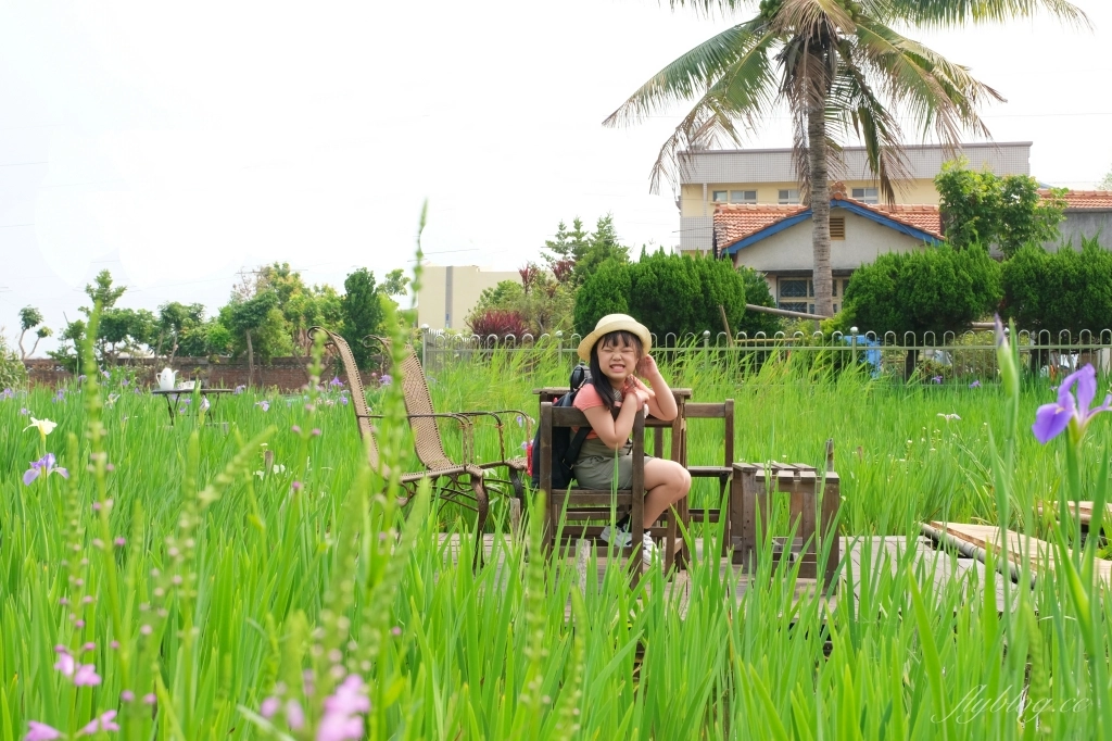 彰化田尾|田尾旅人小屋舒宿,彰化田尾鳶尾花季,浪漫唯美的鳶尾花秘境 @飛天璇的口袋 彰化田尾|田尾旅人小屋舒宿,彰化田尾鳶尾花季,浪漫唯美的鳶尾花秘境 @飛天璇的口袋