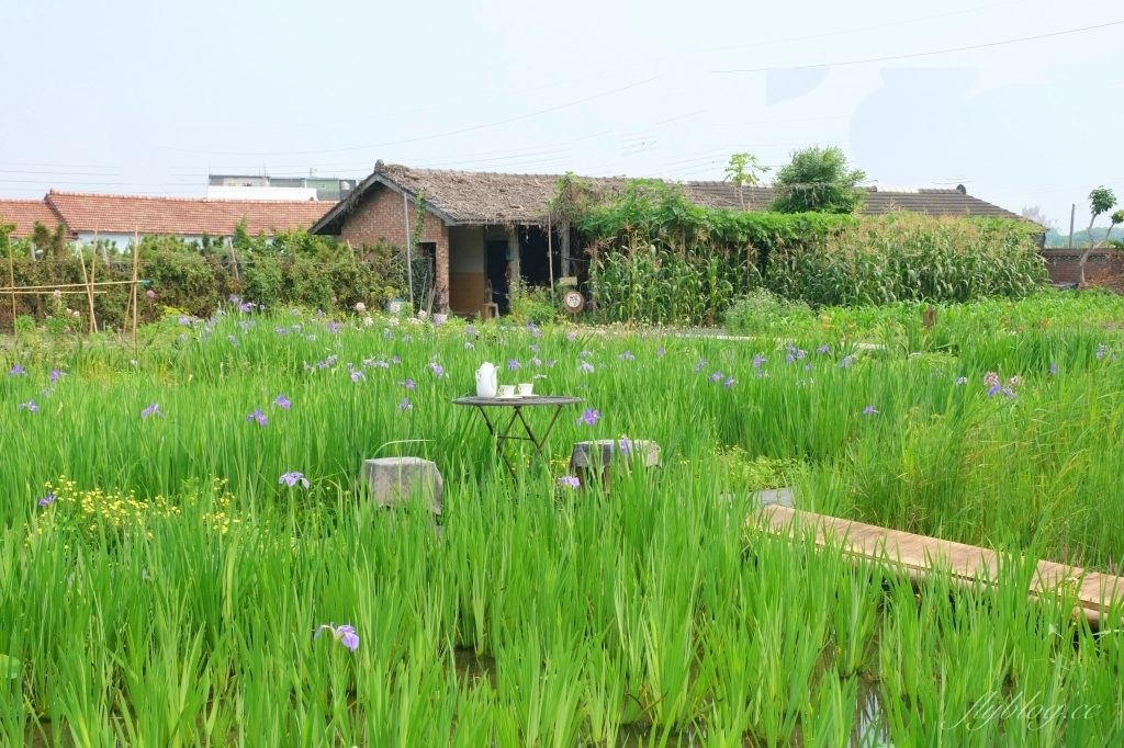 彰化田尾|田尾旅人小屋舒宿,彰化田尾鳶尾花季,浪漫唯美的鳶尾花秘境 @飛天璇的口袋 彰化田尾|田尾旅人小屋舒宿,彰化田尾鳶尾花季,浪漫唯美的鳶尾花秘境 @飛天璇的口袋