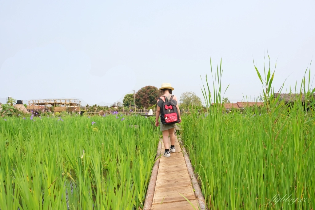 彰化田尾|田尾旅人小屋舒宿,彰化田尾鳶尾花季,浪漫唯美的鳶尾花秘境 @飛天璇的口袋 彰化田尾|田尾旅人小屋舒宿,彰化田尾鳶尾花季,浪漫唯美的鳶尾花秘境 @飛天璇的口袋