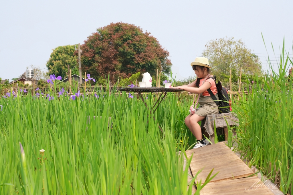 彰化田尾|田尾旅人小屋舒宿,彰化田尾鳶尾花季,浪漫唯美的鳶尾花秘境 @飛天璇的口袋 彰化田尾|田尾旅人小屋舒宿,彰化田尾鳶尾花季,浪漫唯美的鳶尾花秘境 @飛天璇的口袋